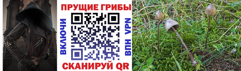 даркнет сайт  Верхний Уфалей  Галлюциногенные грибы MAGIC MUSHROOMS 